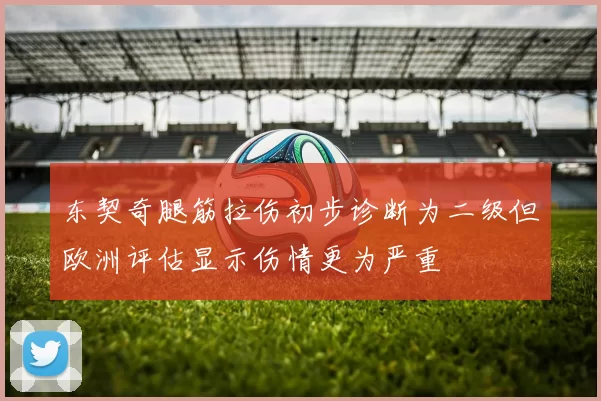 东契奇腿筋拉伤初步诊断为二级但欧洲评估显示伤情更为严重